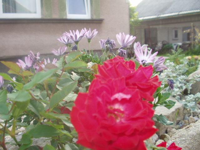 P1010019.JPG