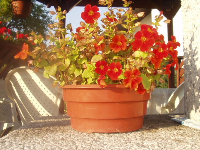 P1010023.JPG
